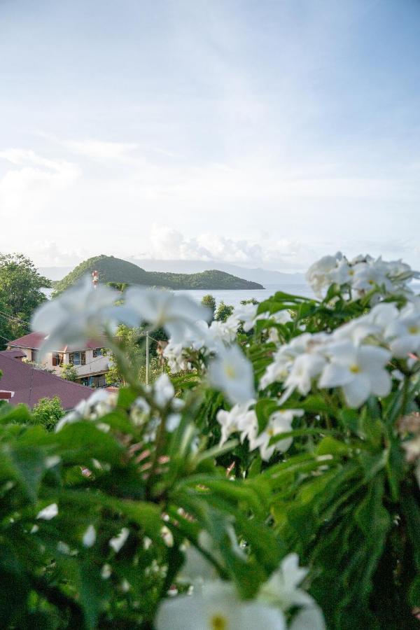 Bungalow Anse Figuier Terre-De-Haut Exterior photo